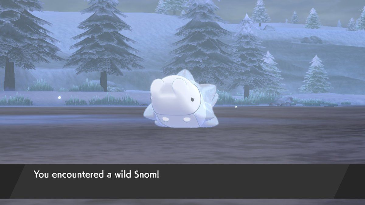 Snom.jpg